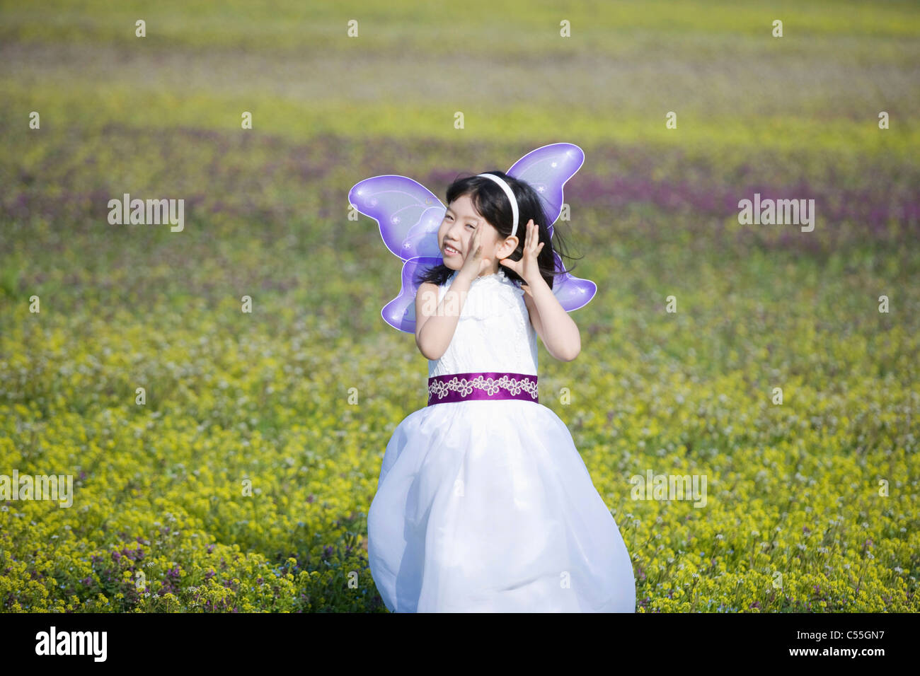 girl in a white dress stand in yellow flower field Stock Photo - Alamy