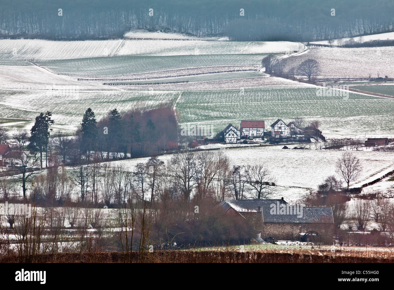 The Netherlands, Epen, panoramic view of frame houses. Winter, snow Stock Photo