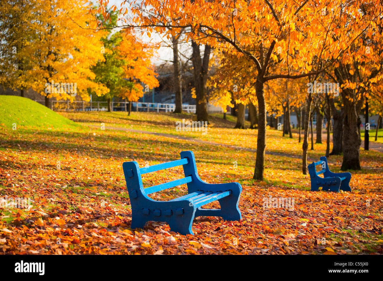 UK, Wales, Gwent County, Pontypool, Pontypool Park Stock Photo Alamy