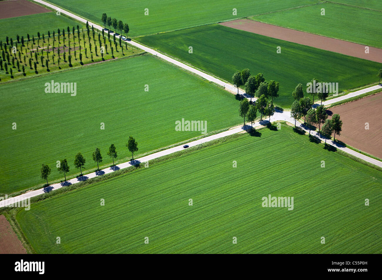 The Netherlands, near Den Bosch, road crossing in farmland. Aerial. Stock Photo