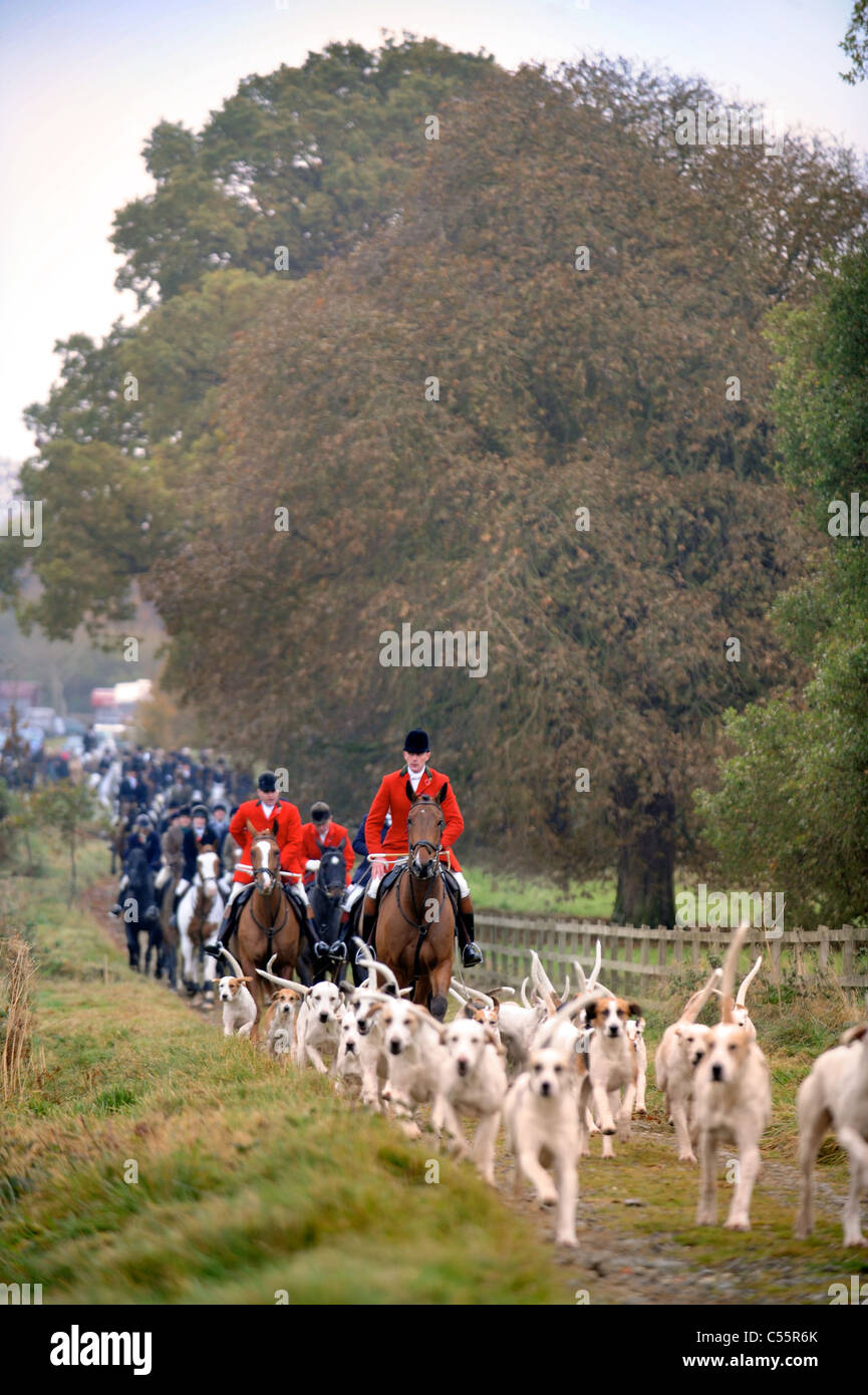 Huntsman and foot followers at the 150th anniversary Cotswold Hunt meeting at Spoonley Farm near Winchcombe, Gloucestershire Nov Stock Photo