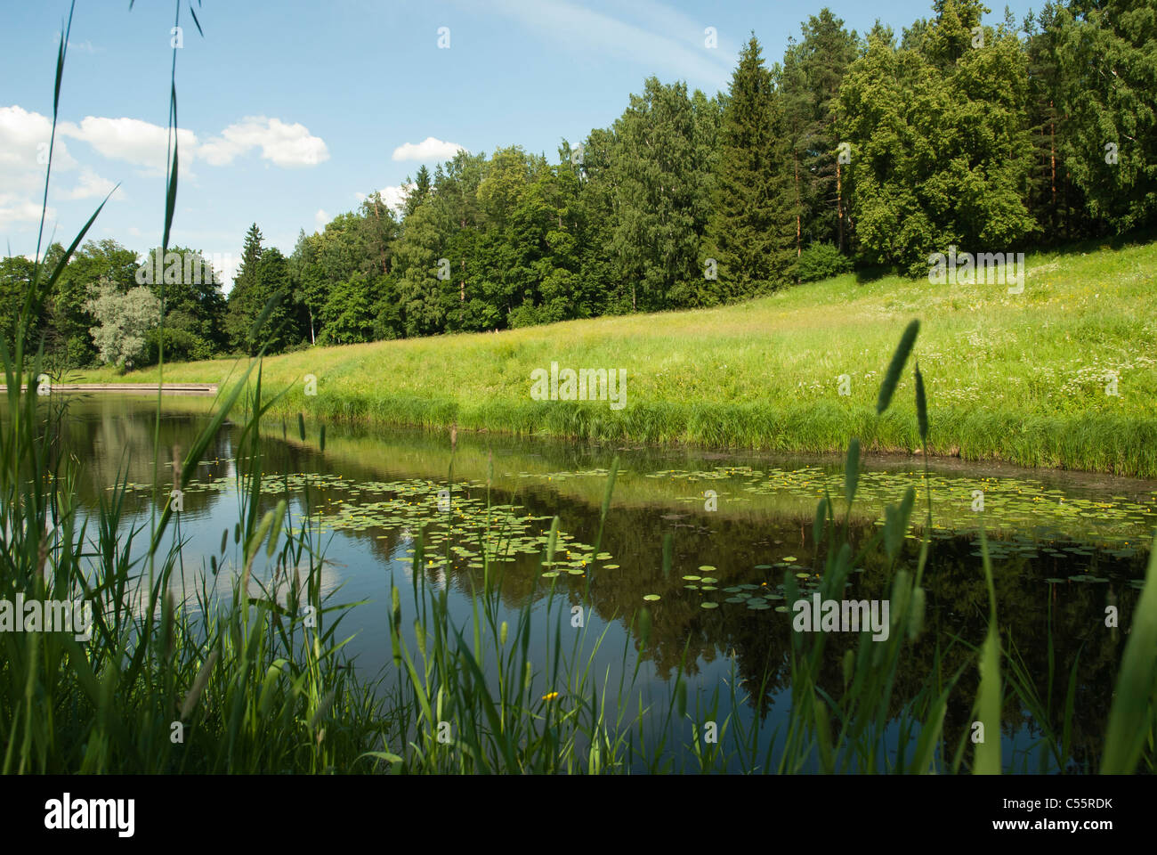 Riverside pond hi-res stock photography and images - Alamy