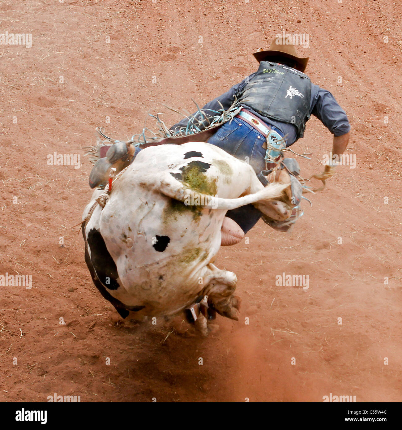 Competitor in the bull riding event at the Annual Indian Rodeo held in