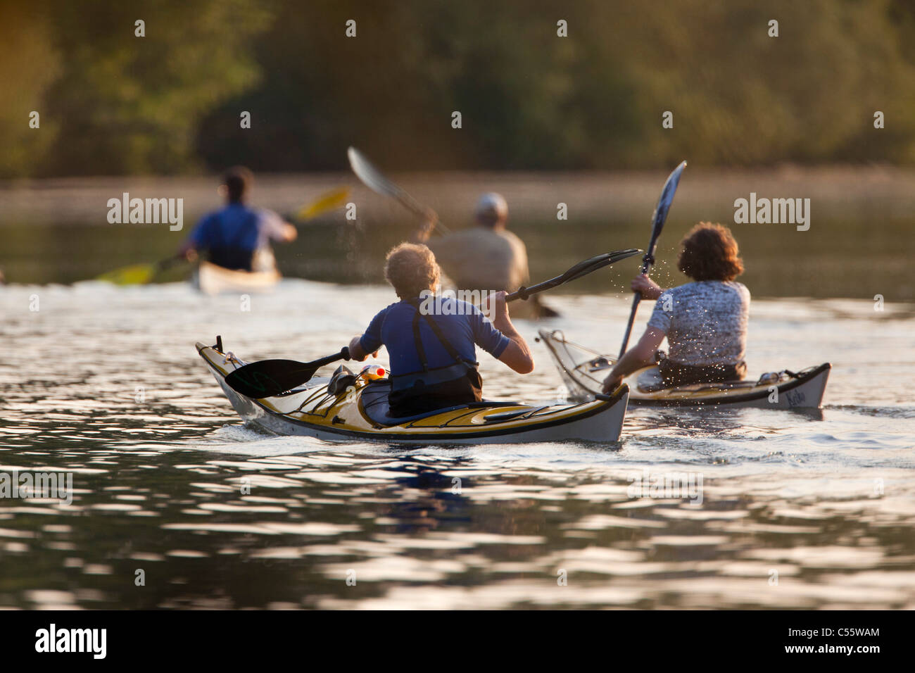 The Netherlands, Werkendam, De Biesbosch national park. People kayaking. Stock Photo