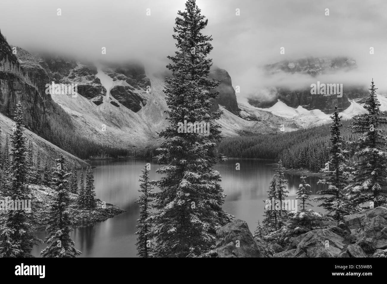 Snow covered trees in a forest, Valley Of The Ten Peaks, Moraine Lake, Banff National Park, Alberta, Canada Stock Photo