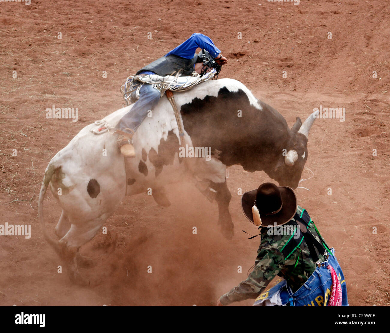 Competitor in the bull riding event at the Annual Indian Rodeo held in ...