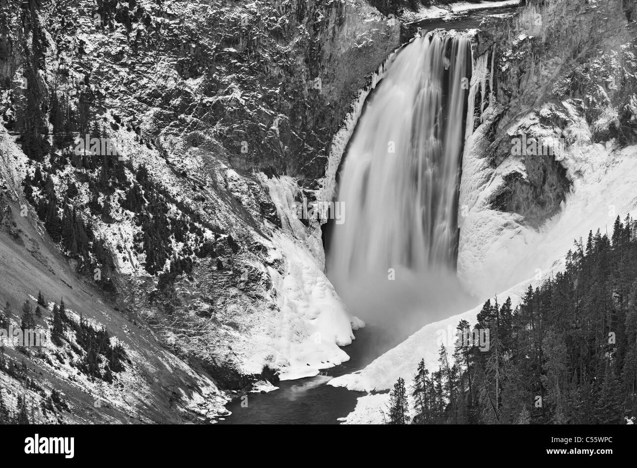 Waterfall in a forest, Lower Yellowstone Falls, Grand Canyon of the Yellowstone, Yellowstone National Park, Wyoming, USA Stock Photo