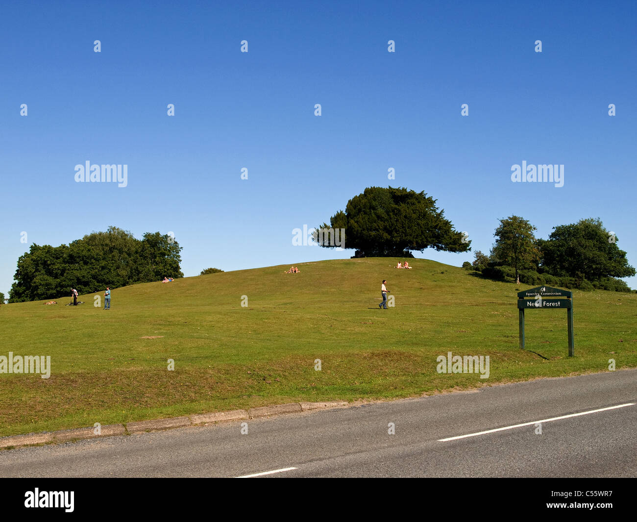 Bolton's Bench hill Lyndhurst New Forest Hampshire England UK Stock Photo
