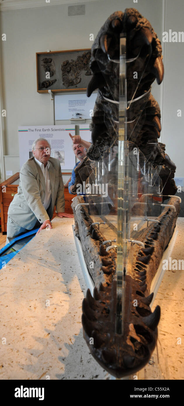 uk-dorset-sir-david-attenborough-unveils-a-150-million-year-old-giant