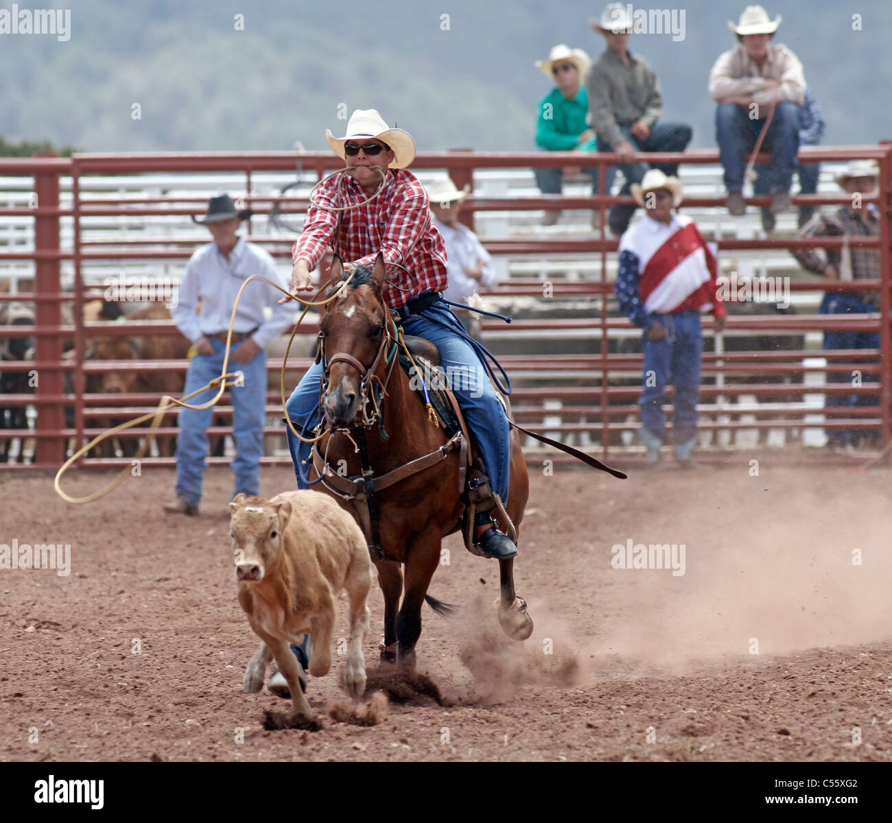 Competitor in the calf roping event at the Annual Indian Rodeo held in Mescalero, New Mexico. Stock Photo