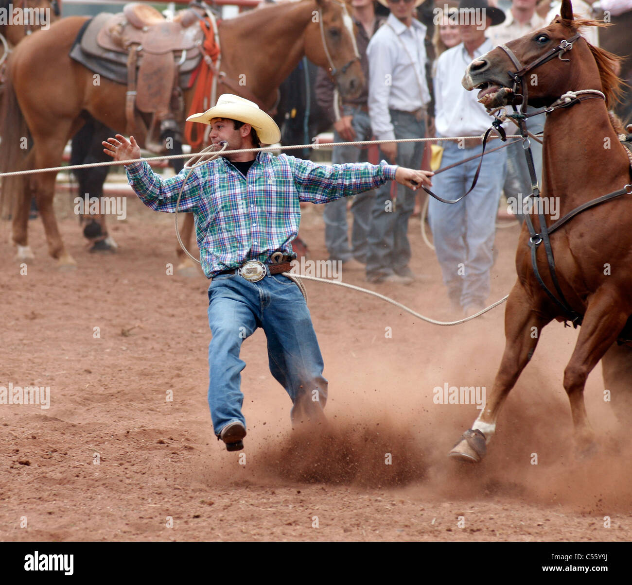 Competitor in the calf roping event at the Annual Indian Rodeo held in Mescalero, New Mexico. Stock Photo