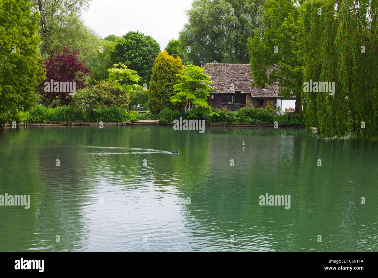 Bibury Trout Farm Bibury Gloucestershire UK Stock Photo Alamy