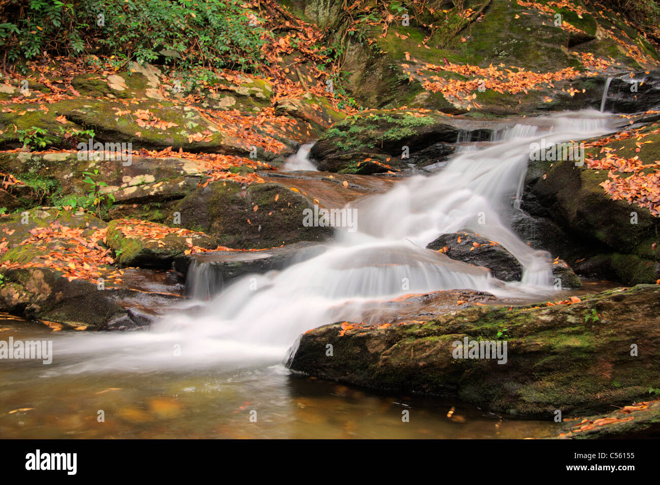 USA, North Carolina, Roaring Fork Falls Stock Photo Alamy