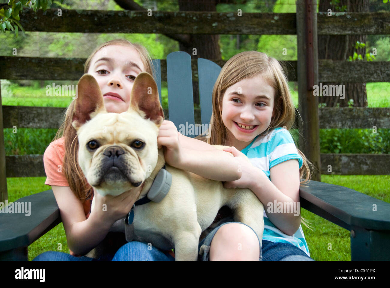 Two girls playing with a dog Stock Photo - Alamy