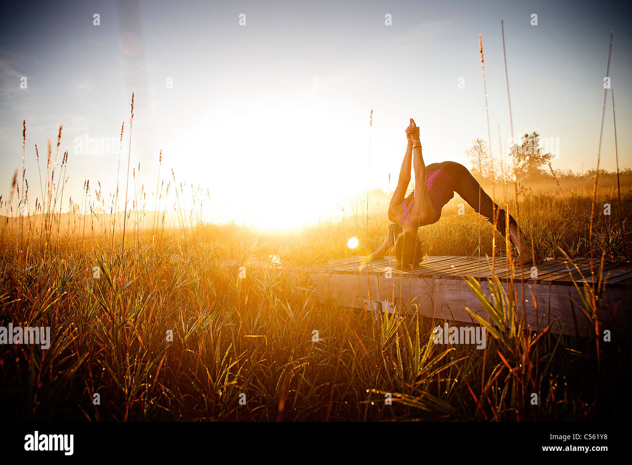 Dawn scene with legs hires stock photography and images Alamy