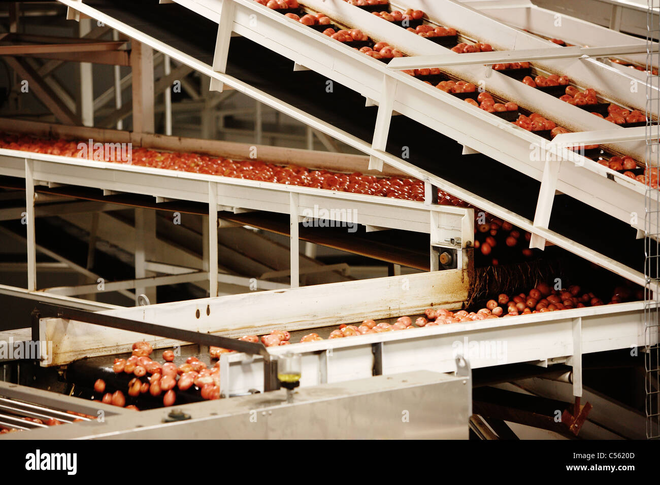 Image of a conveyor belt in a food processing facility, moving red
