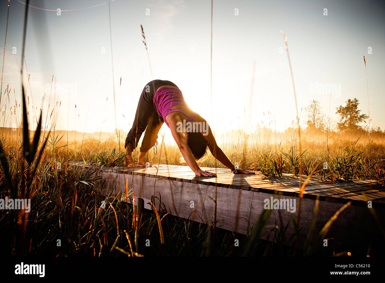 Mid adult woman doing morning yoga in a field, Upper Herring Lake