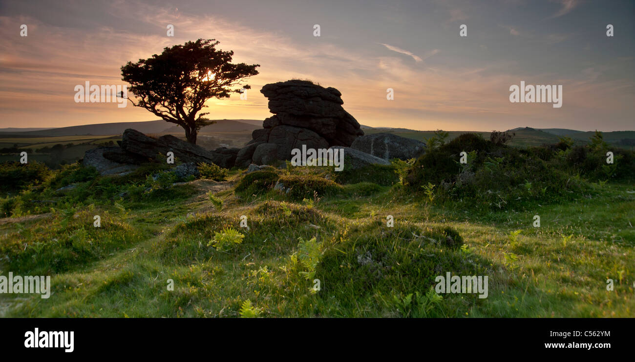 Sunset at Saddle Tor, South Dartmoor National Park, Devon, England UK Stock Photo