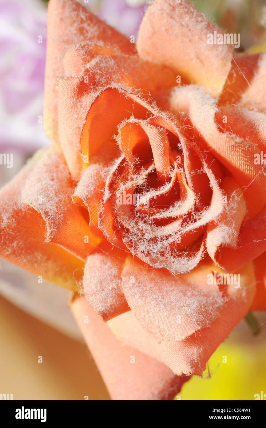 Dust heap hires stock photography and images Alamy