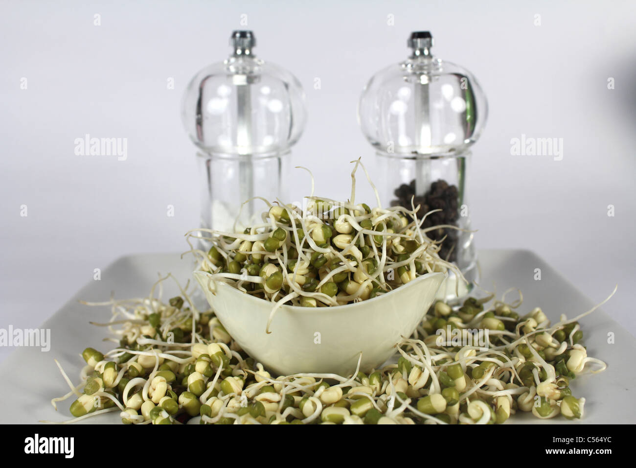 Green gram sprout with salt and pepper container in the background Stock Photo