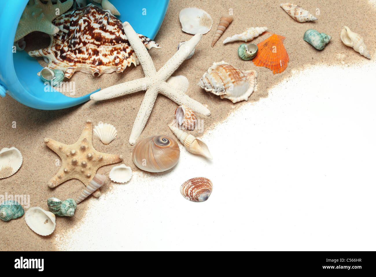 Beach bucket and shells on sand Stock Photo