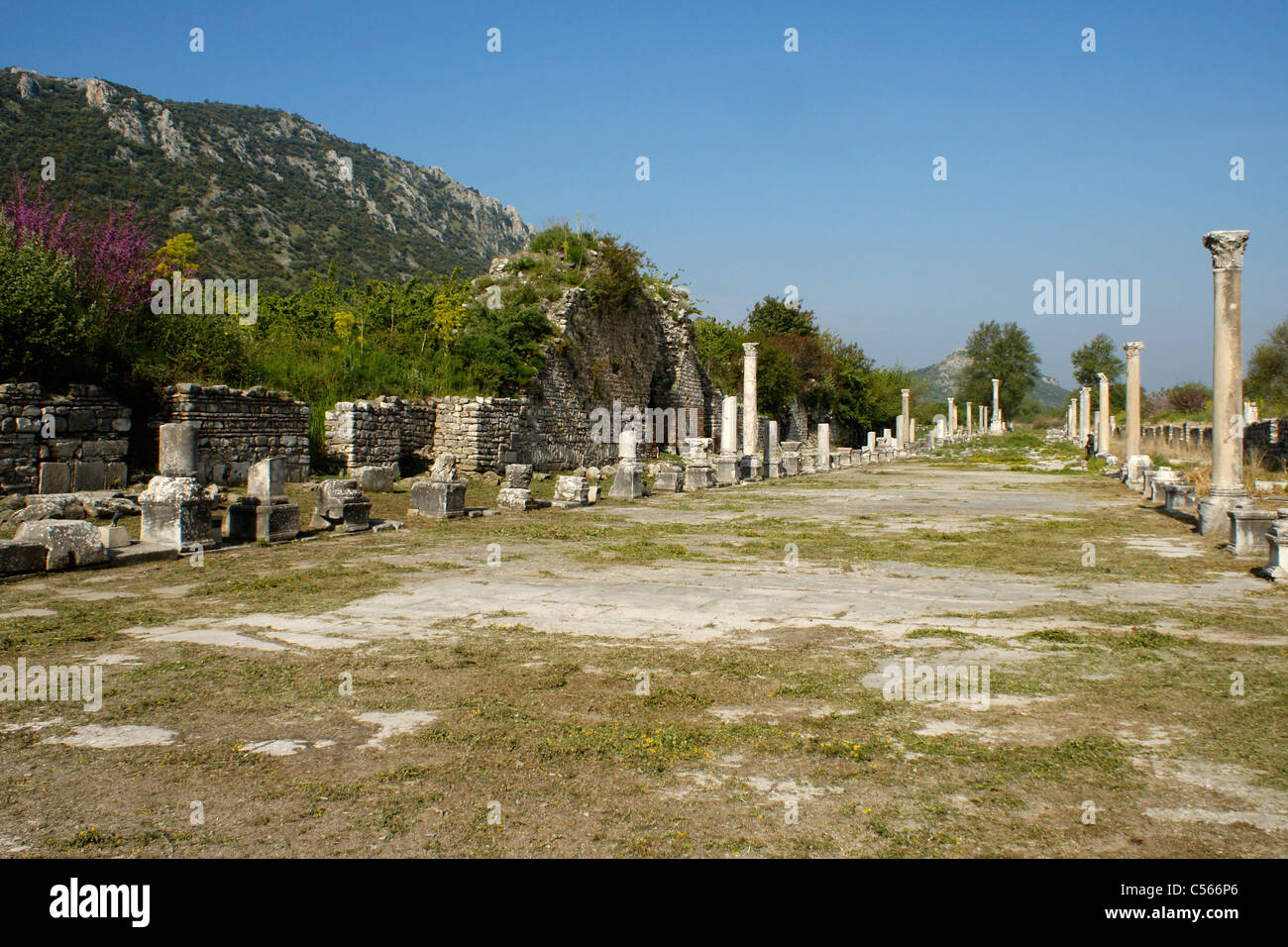 Columns along Harbour (Arcadian) Street, Ephesus, Turkey Stock Photo