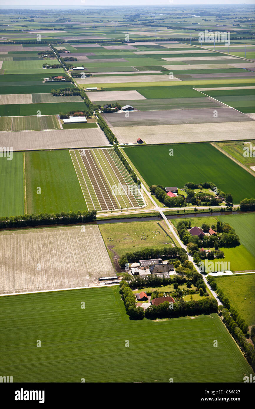 The Netherlands, Den Oever, Farms and farmland in polder. Aerial. Stock Photo