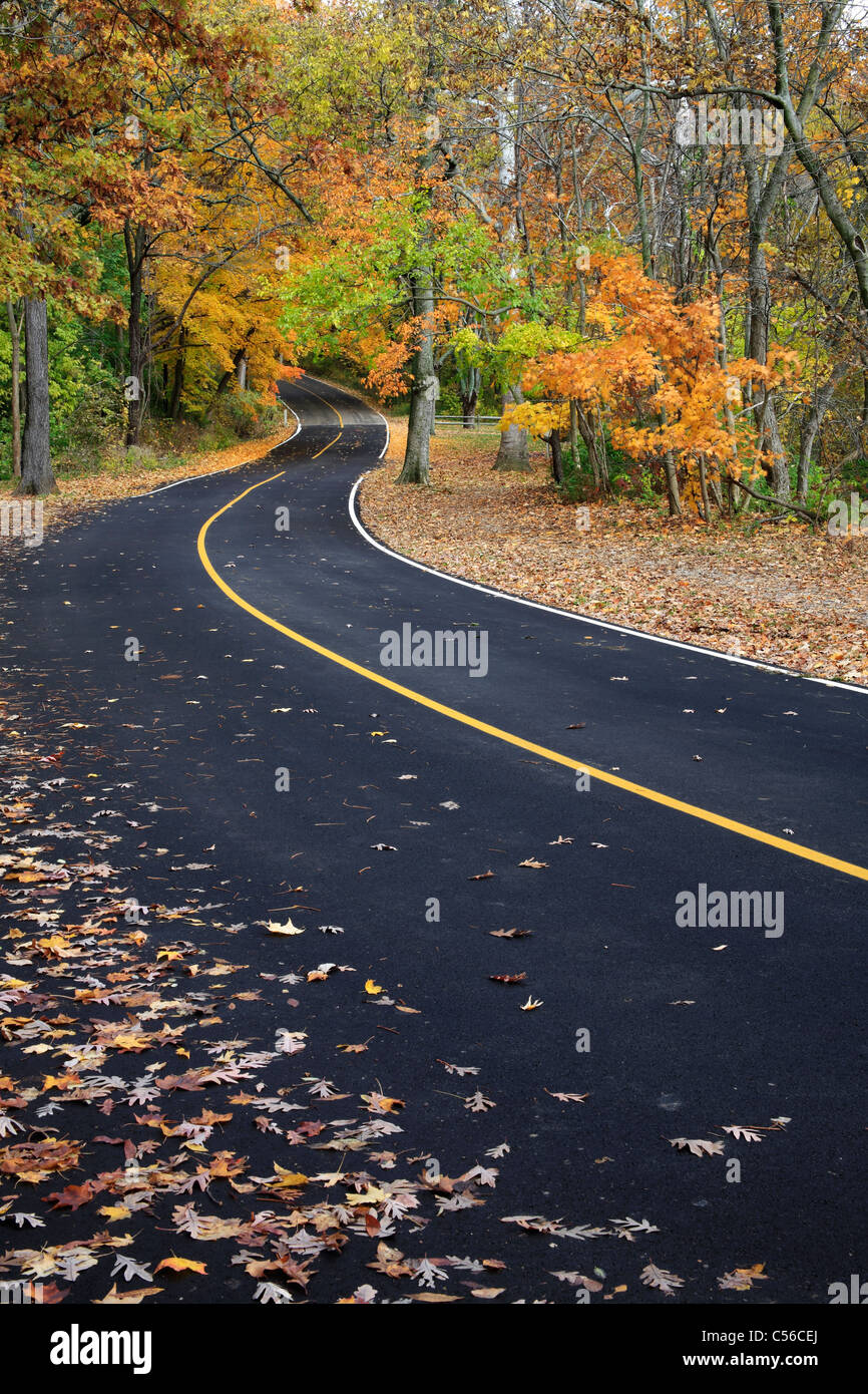 A Curvy Blacktop Road Through The Park In Autumn, Sharon Woods