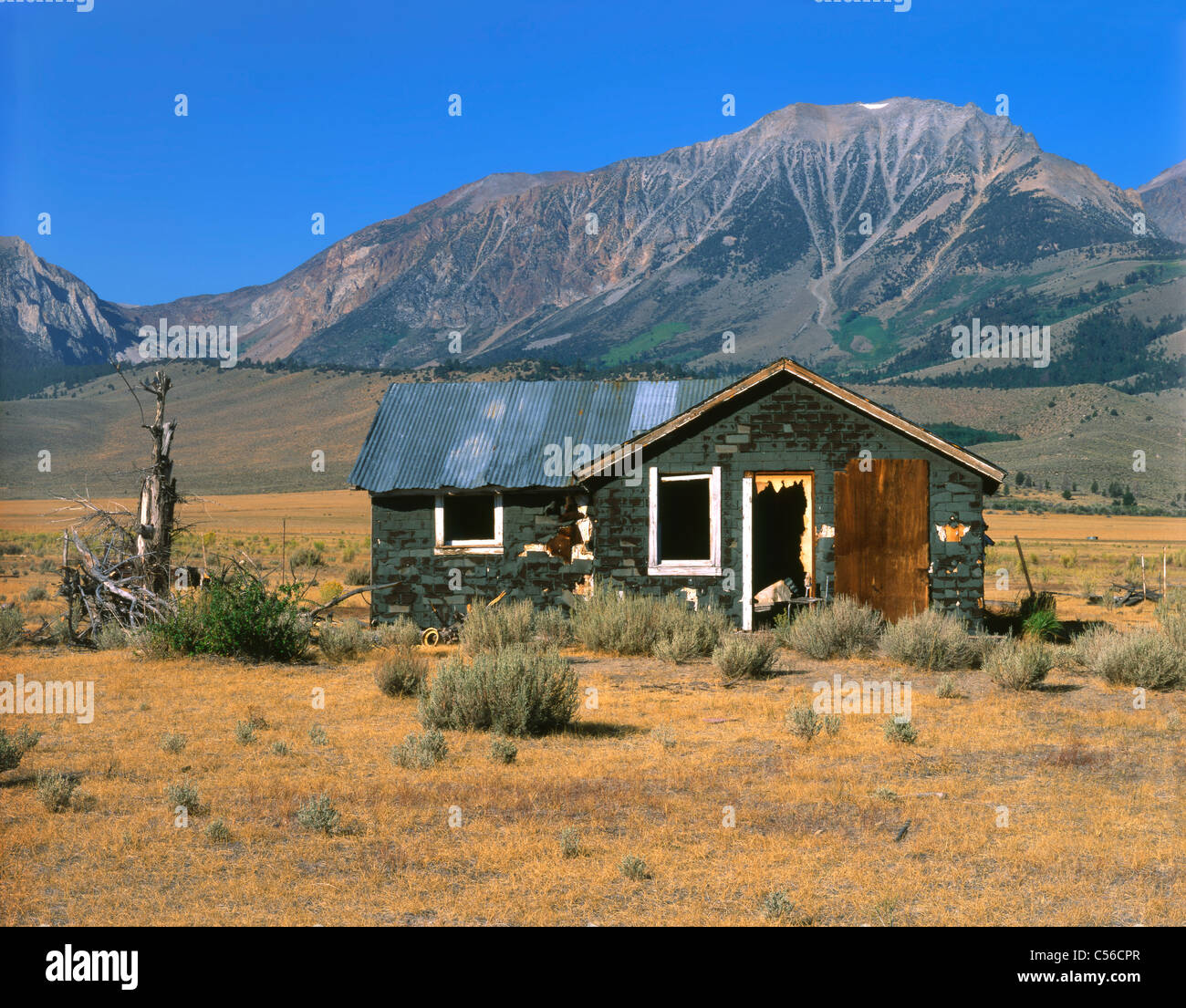 An Abandoned Homestead On The Eastern Flank Of The Sierra Nevada