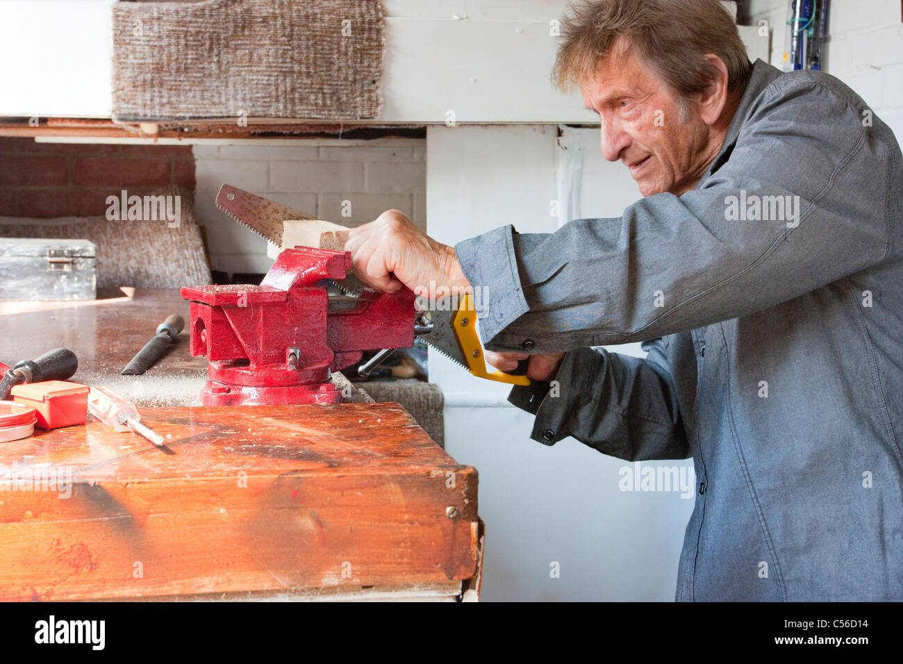eighty year old man working in his shed workshop with wood in red vice ...