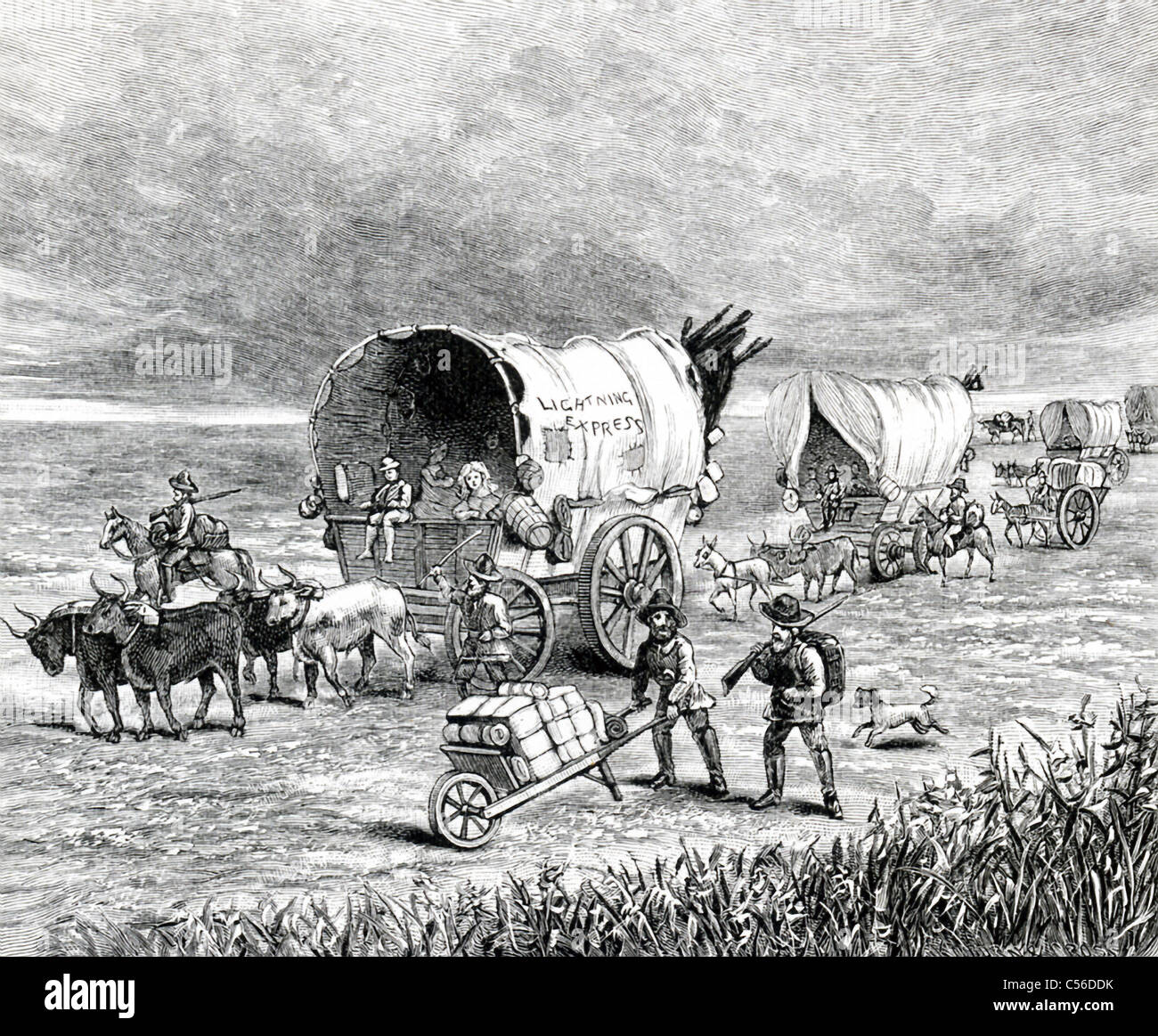 On a covered wagon drawn by two yoke of oxen and crossing the Plains in1859 appeared in large letters 'Lightning Express.' Stock Photo