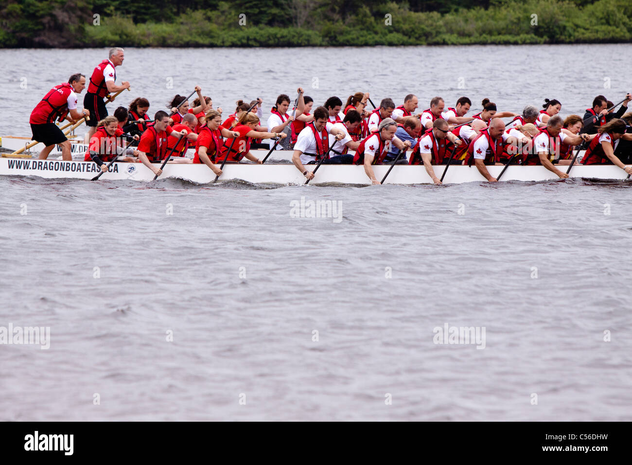 Prince William Duke of Cambridge, crosses the finish line before winning a Dragon Boat race over the Duchess of Cambridge in PEI Stock Photo