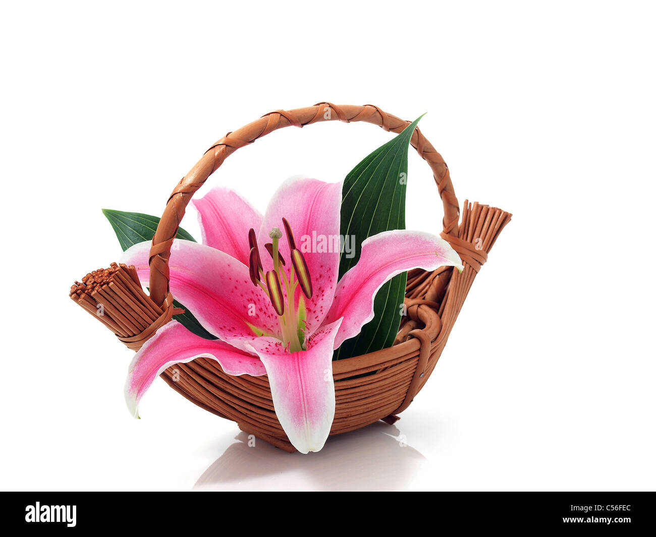 Pink Lily flower in the basket Stock Photo Alamy