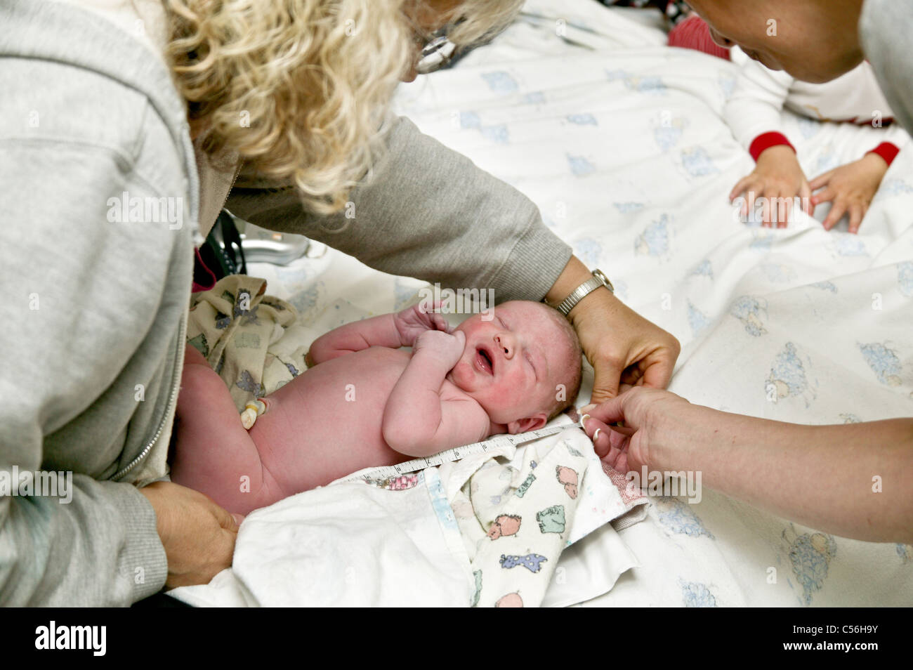 Midwife Deutsch Midwife Deutsch
