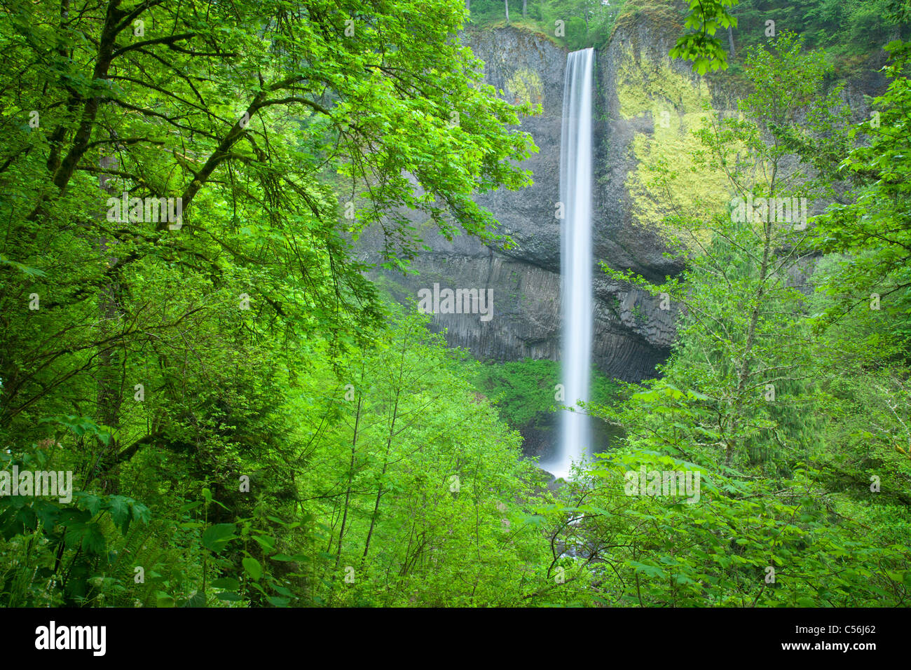 Latourell Falls, Guy W. Talbot State Park, Columbia River Gorge National Scenic Area, Oregon Stock Photo