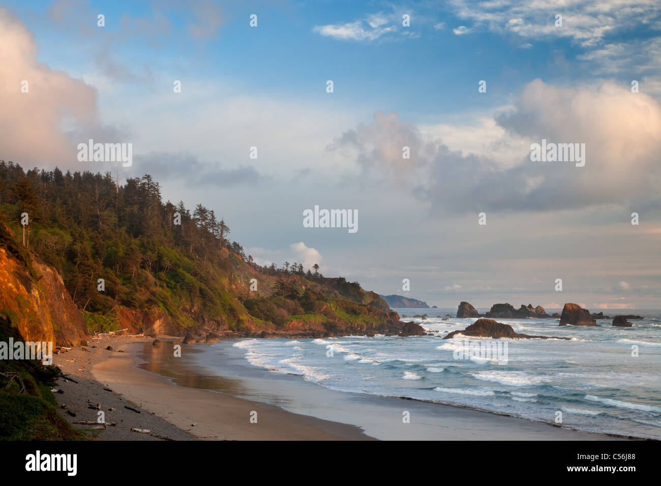 indian-beach-and-the-oregon-coast-ecola-state-park-oregon-stock-photo