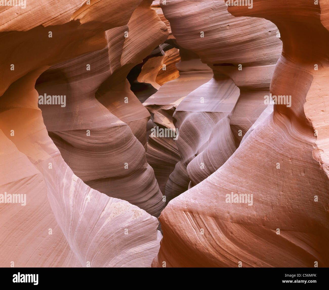 Red sandstone slot canyon. Lower Antelope Canyon nicknamed the 'Corkscrew', Navajo land, Coconino County, Arizona, USA. Stock Photo