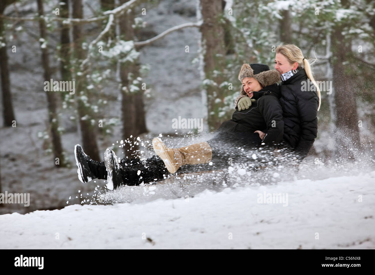 The Netherlands, Egmond aan Zee, Girls sledging. Stock Photo