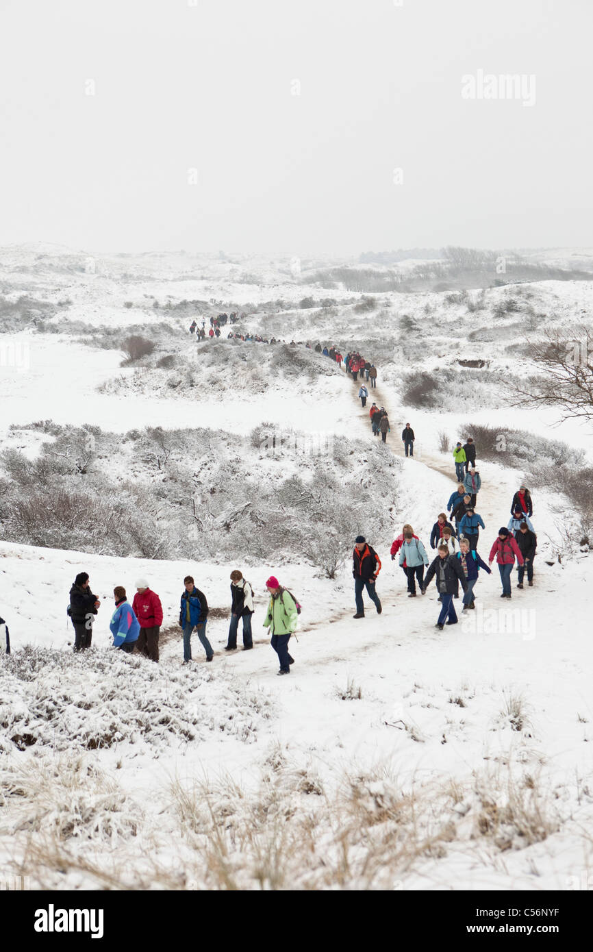 The Netherlands, Egmond aan Zee, Egmond Hiking Marathon 2010, 42 km along the beach and through the dunes. Stock Photo