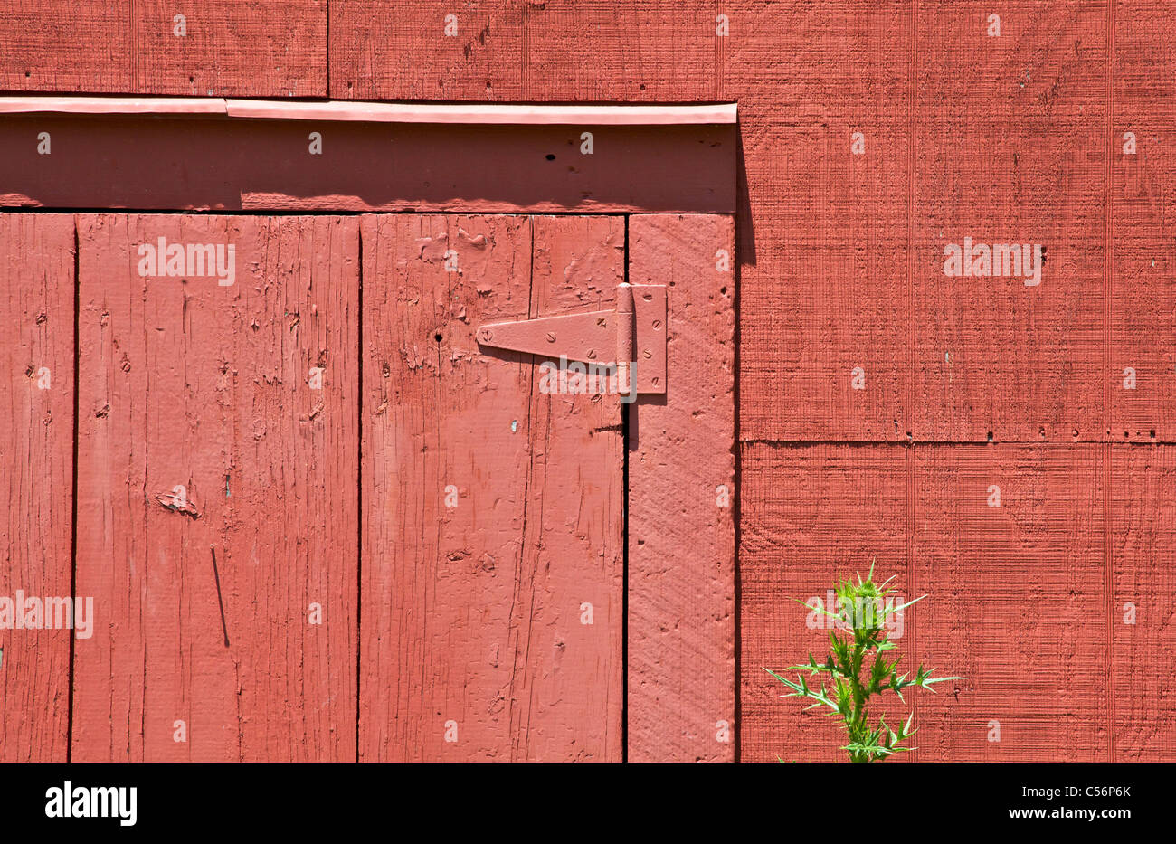 Weed texture hi-res stock photography and images - Alamy