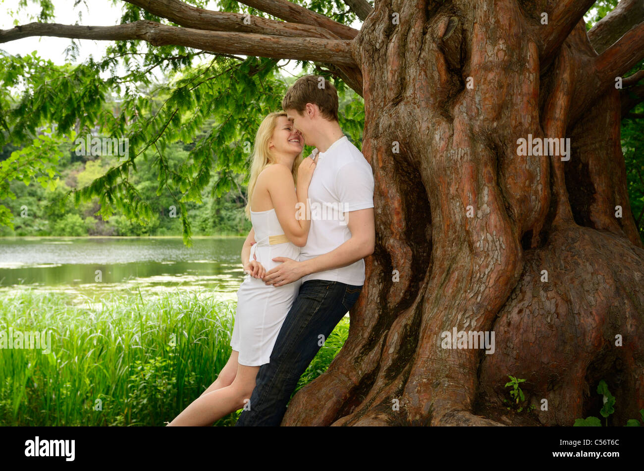 Happy couple embracing and laughing under a large Dawn Redwood tree on the shore of a lake High Park Toronto Stock Photo