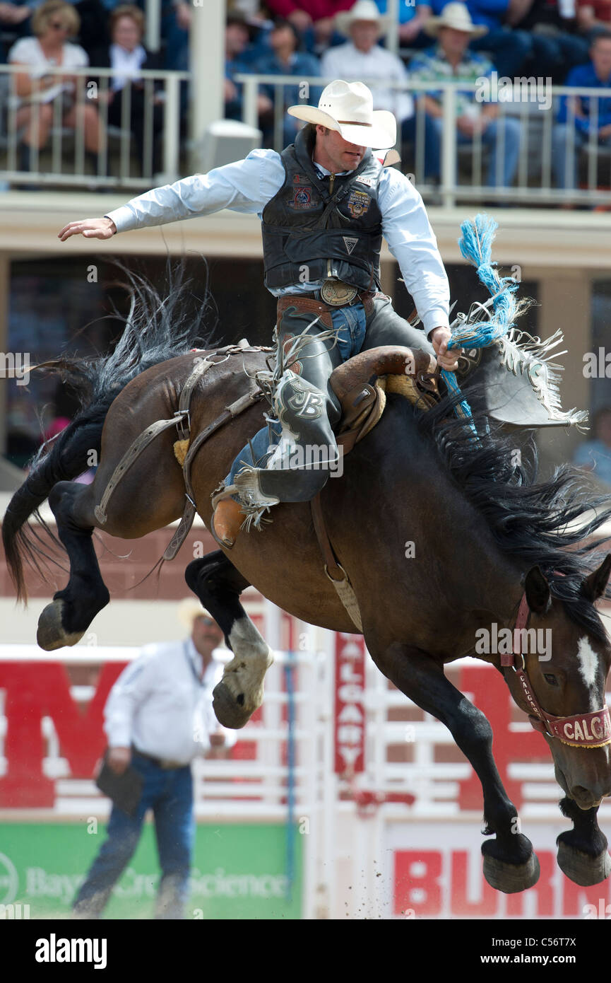 Saddle bronc event at the Calgary Stampede Rodeo Stock Photo - Alamy