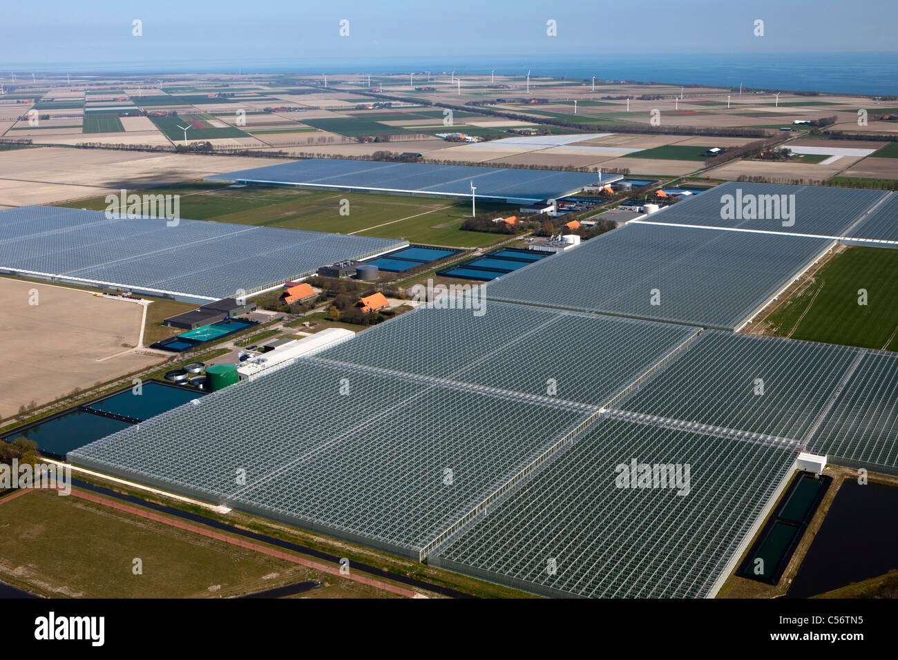 The Netherlands, Middenmeer, Aerial of glass houses. Stock Photo