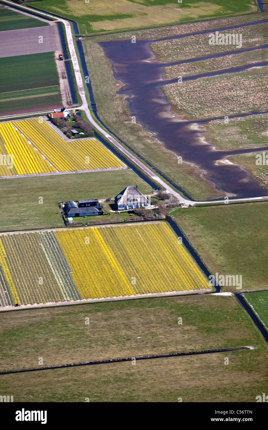 The Netherlands, Callantsoog, Aerial view of farms. Stock Photo
