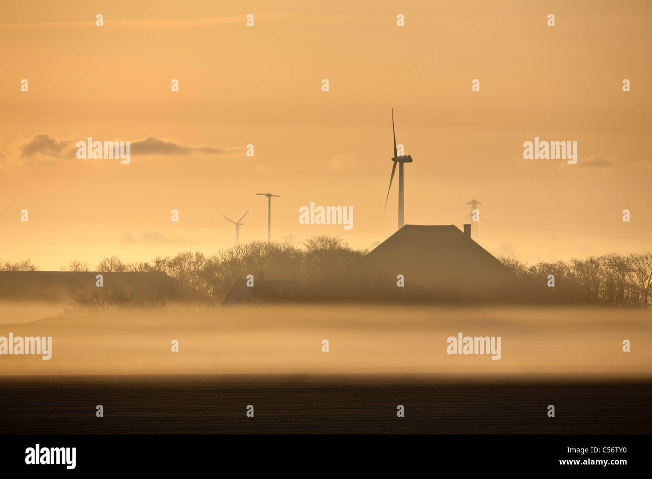 The Netherlands, Callantsoog, Farm in morning mist. Stock Photo