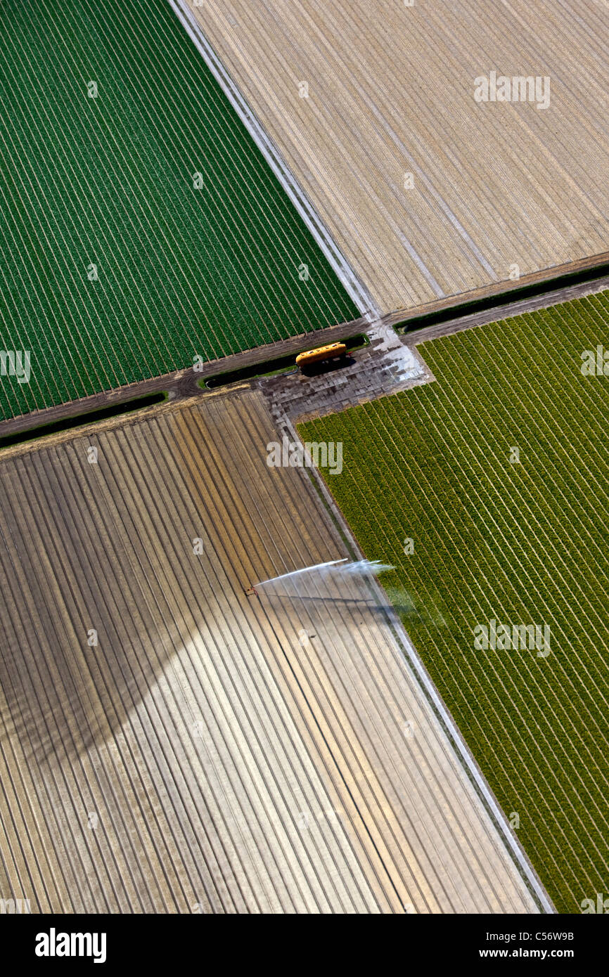 The Netherlands, Julianadorp, Aerial of farmer, irrigating land. Stock Photo