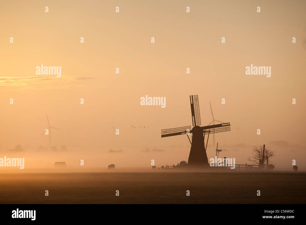 The Netherlands, Niedorp, Windmill in morning mist at sunrise. Stock Photo