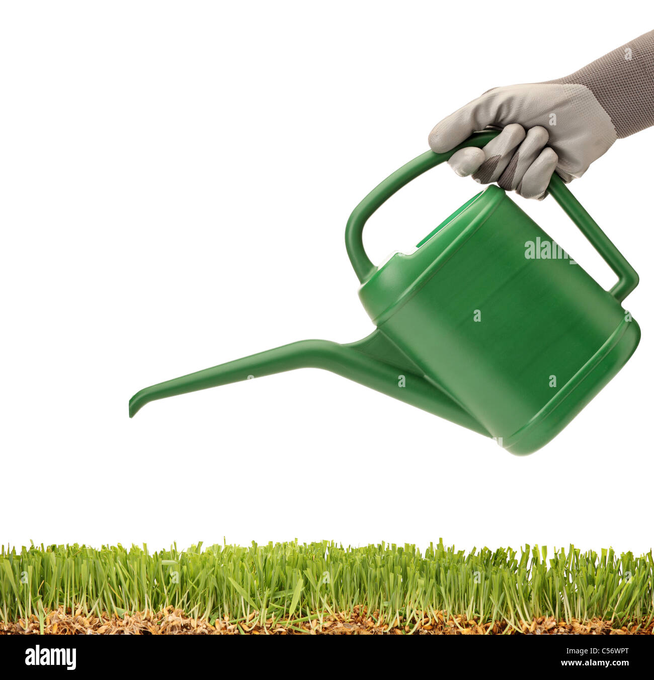 A person holding a watering can and green glass Stock Photo