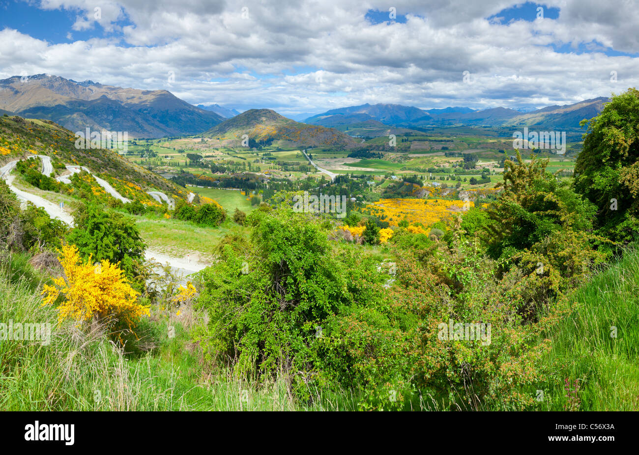 New Zealand countryside Stock Photo