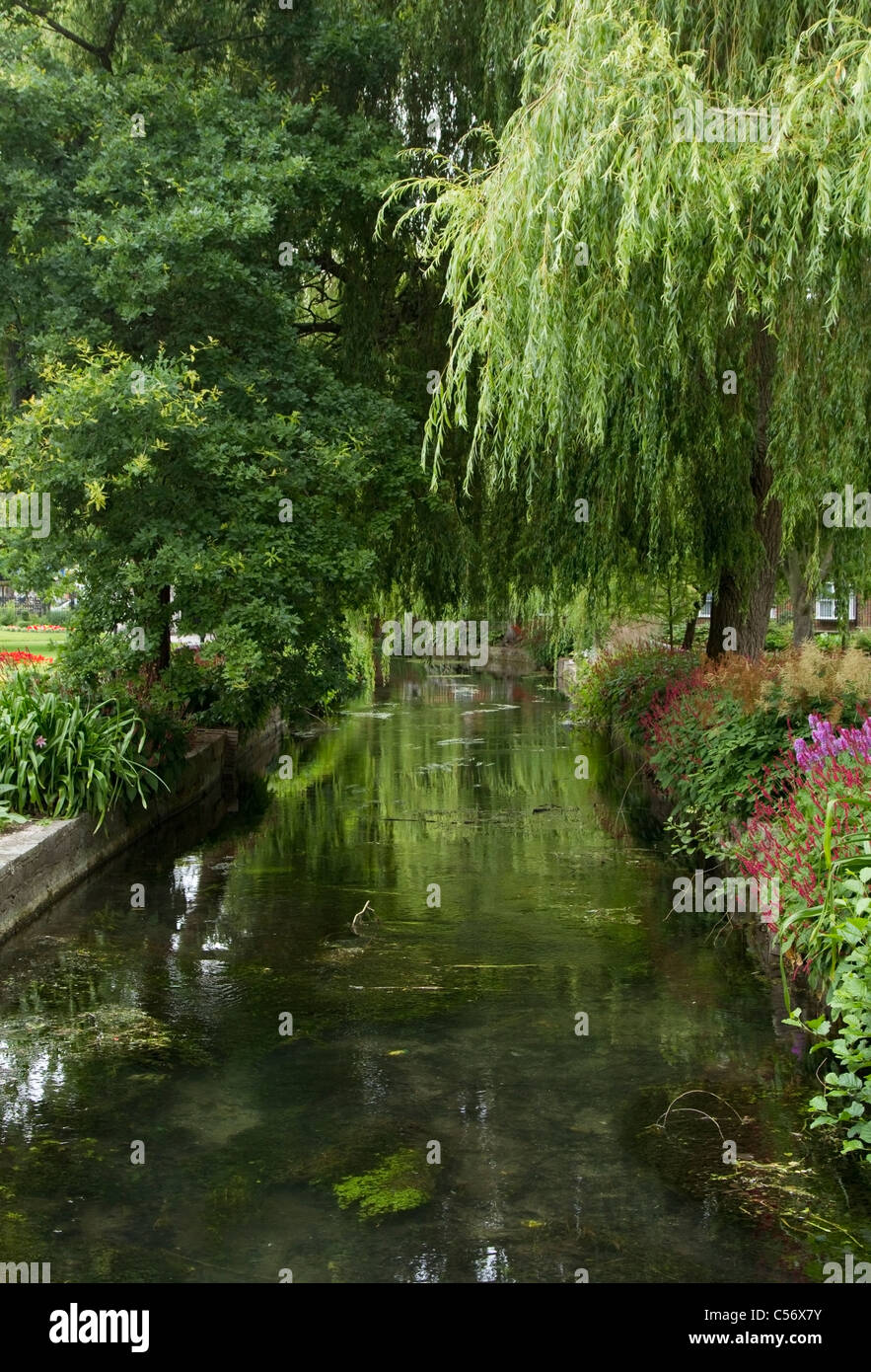 The river Itchen that flows through Winchester, Hampshire Stock Photo